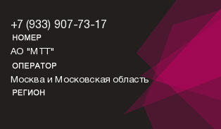 9339077317
